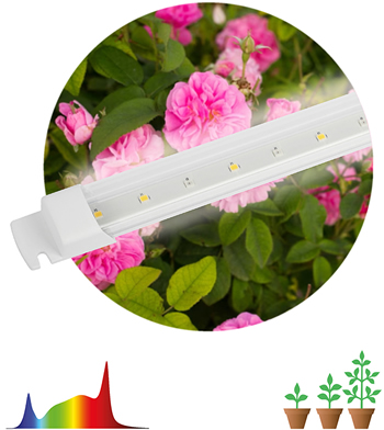 линейный led фитосветильник FITO-10W-Т5-Ra90-Slim "Эра" - cвечение полного спектра