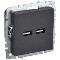 купить Брайт черный розетка USB A+A скрытая 2-ая  в Йошкар-Оле Брайт черный розетка USB A+A скрытая 2-ая