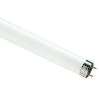 Лампа люм G13 Т8 18Вт 6500К 1080лм Philips