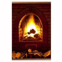 купить Обогреватель инфракрасный 500Вт  Камин в Йошкар-Оле Обогреватель инфракрасный 500Вт  Камин