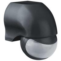 W:\img\_tkacheva\31_07_2023_ken\9061011.jpg W:\img\_tkacheva\31_07_2023_ken\9061011.jpg