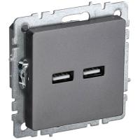 купить Брайт сталь розетка USB A+A скрытая 2-ая  в Йошкар-Оле Брайт сталь розетка USB A+A скрытая 2-ая