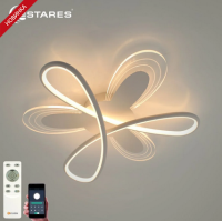 autoOBR_50 autoOBR_50