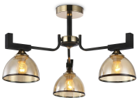 autoOBR_334 autoOBR_334