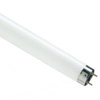 купить Лампа люм G13 Т8 30Вт 6500К 1900лм Osram  в Йошкар-Оле Лампа люм G13 Т8 30Вт 6500К 1900лм Osram