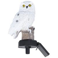 W:\img\_mezhvinsky\13_06_2024_ken\527811.jpg W:\img\_mezhvinsky\13_06_2024_ken\527811.jpg