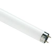 купить Лампа люм G13 Т8 58Вт 6200К 4000лм Philips  в Йошкар-Оле Лампа люм G13 Т8 58Вт 6200К 4000лм Philips