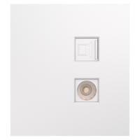 купить MIELE STRONG Розетка компьютерная RJ45 кат6 + TV с/у жемчуг KRANZ в Йошкар-Оле MIELE STRONG Розетка компьютерная RJ45 кат6 + TV с/у жемчуг KRANZ