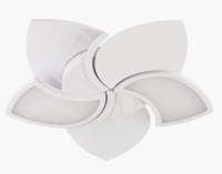 autoOBR_289 autoOBR_289