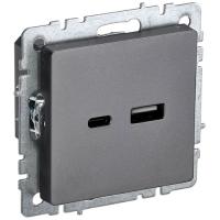 купить Брайт сталь розетка USB A+C скрытая 2-ая  в Йошкар-Оле Брайт сталь розетка USB A+C скрытая 2-ая