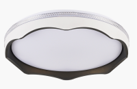 autoOBR_289 autoOBR_289