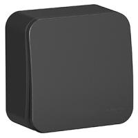 купить Бланка переключатель открытая антрацит 1кл 10А IP20  в Йошкар-Оле Бланка переключатель открытая антрацит 1кл 10А IP20