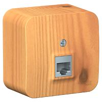 Бланка ясень розетка RJ45 открытая 1-ая  