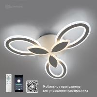 autoOBR_102