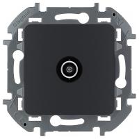 W:\img\_tkacheva\28_07_2021_ken\372178.jpg W:\img\_tkacheva\28_07_2021_ken\372178.jpg