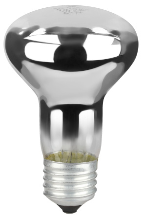 купить Лампа R63 накал Е27 60Вт 450лм ЭРА в Йошкар-Оле Лампа R63 накал Е27 60Вт 450лм ЭРА