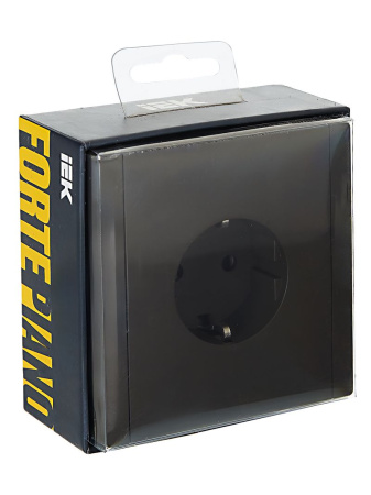 купить Фортепиано серый розетка скрытая 1-мест заземление IP20 винтовое крепление в Йошкар-Оле Фортепиано серый розетка скрытая 1-мест заземление IP20 винтовое крепление