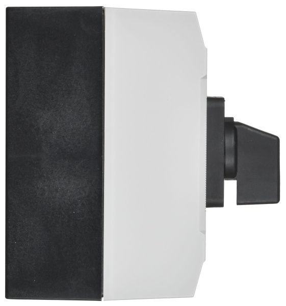 Перекл. кулачк. в боксе станд. рук. 25А сх. 53 MASTER IEK