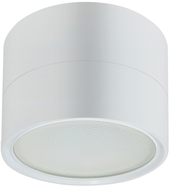 купить Светильник даунлайт 1*12Вт GX53 цилиндр белый накладной ЭРА в Йошкар-Оле Светильник даунлайт 1*12Вт GX53 цилиндр белый накладной ЭРА