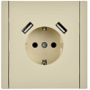 купить Фортепиано ваниль розетка скрытая 1-мест заземление шторки USB IP20  в Йошкар-Оле Фортепиано ваниль розетка скрытая 1-мест заземление шторки USB IP20